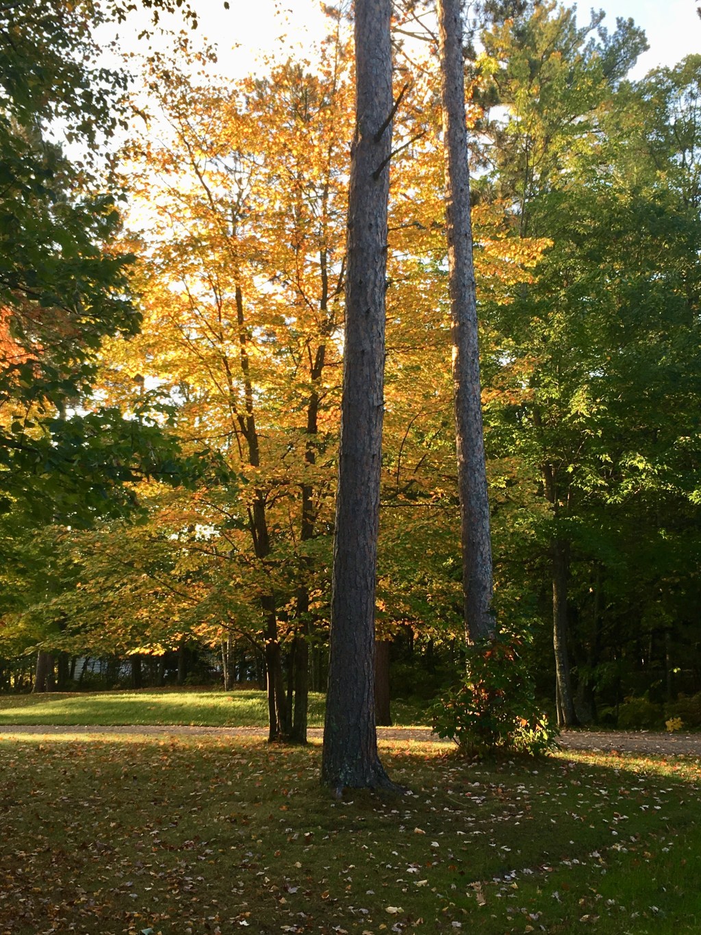 Untitled post 1114