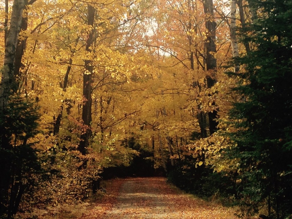 When Detours Become&nbsp;Destinations