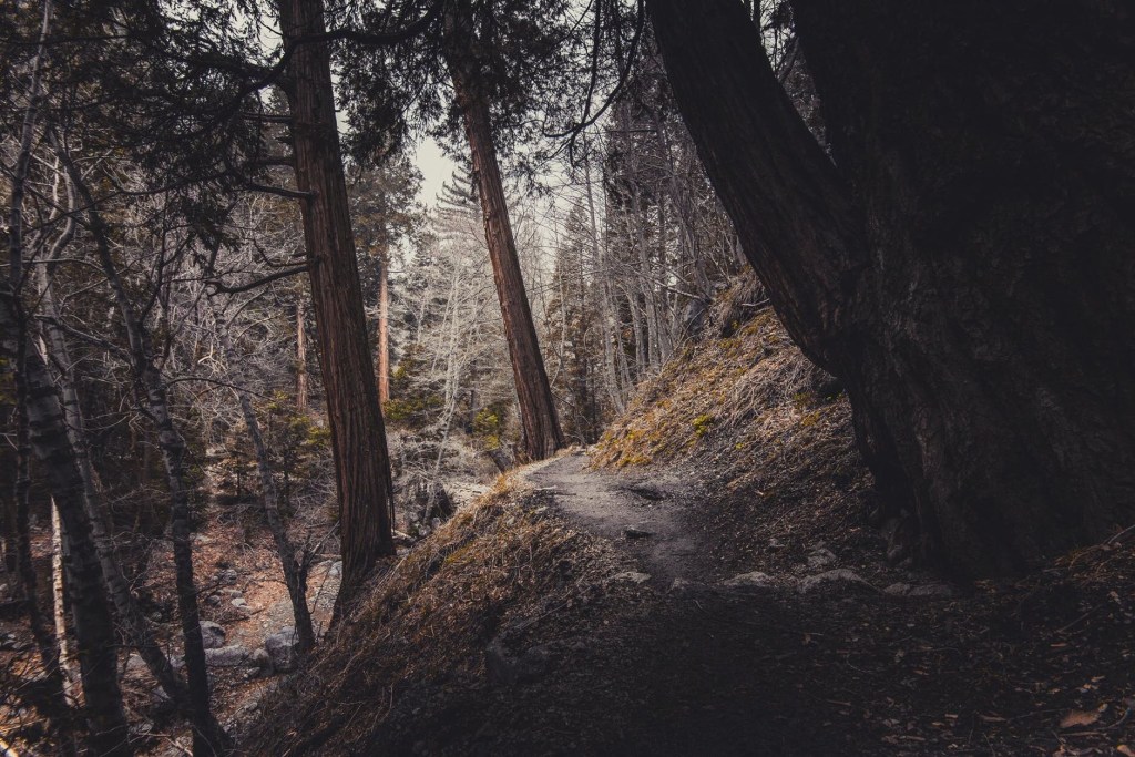 Hidden Places