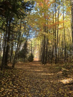 Sauntering Upward