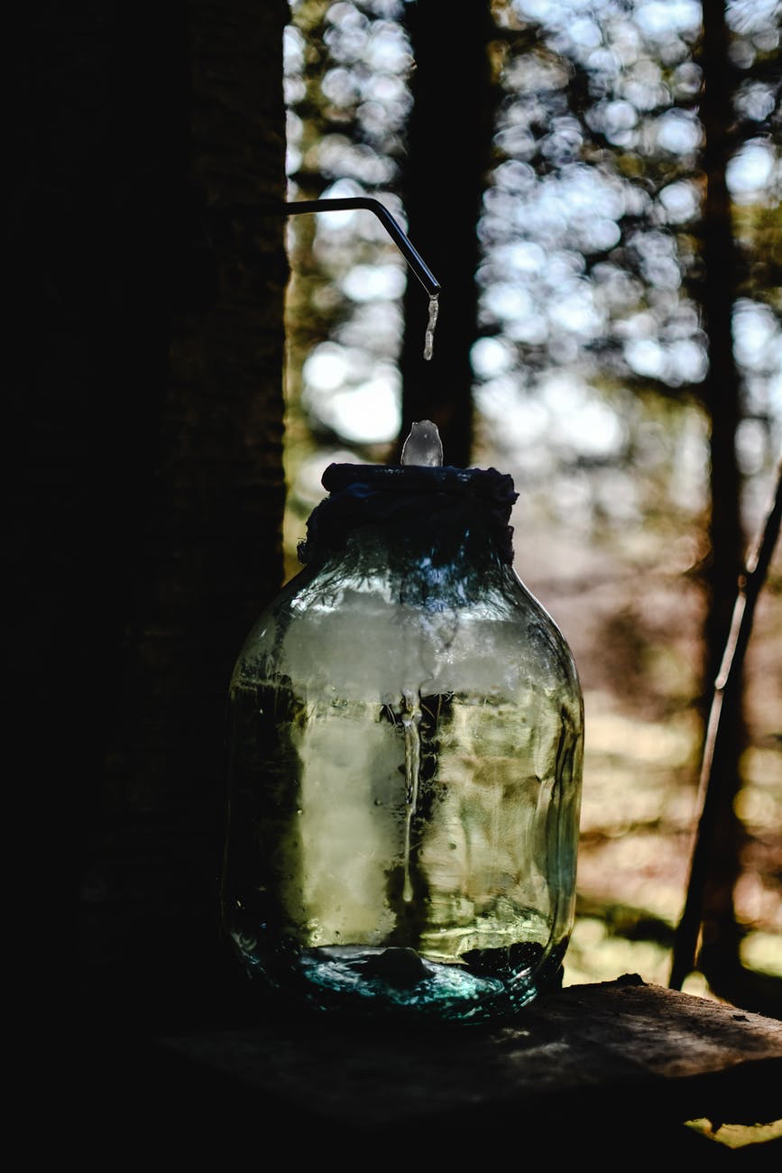 The Sap is&nbsp;Rising
