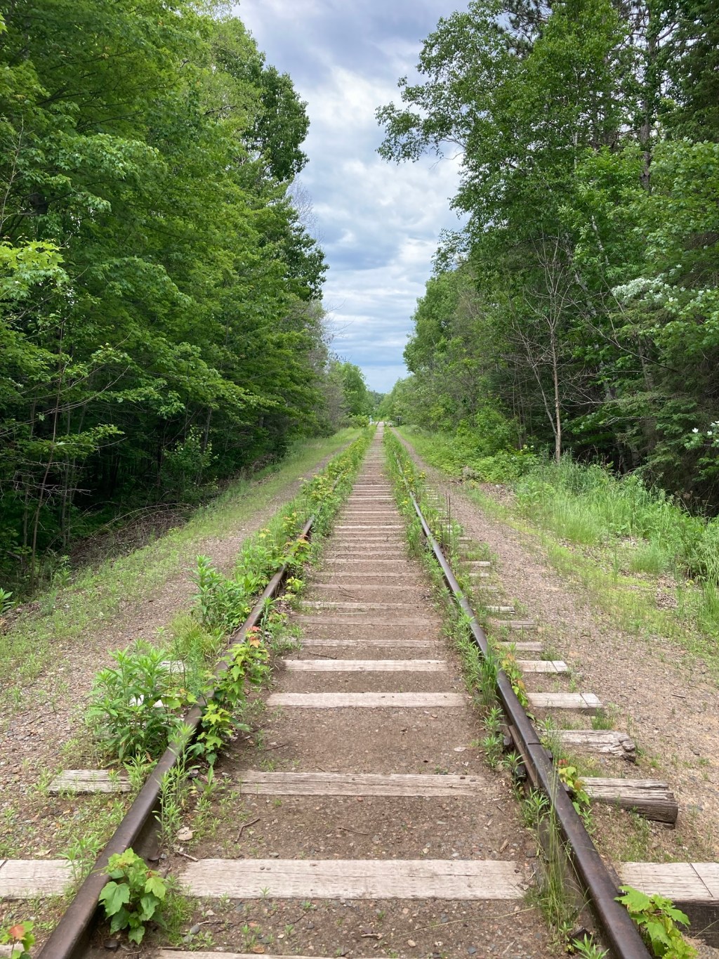 The Middle of&nbsp;Somewhere