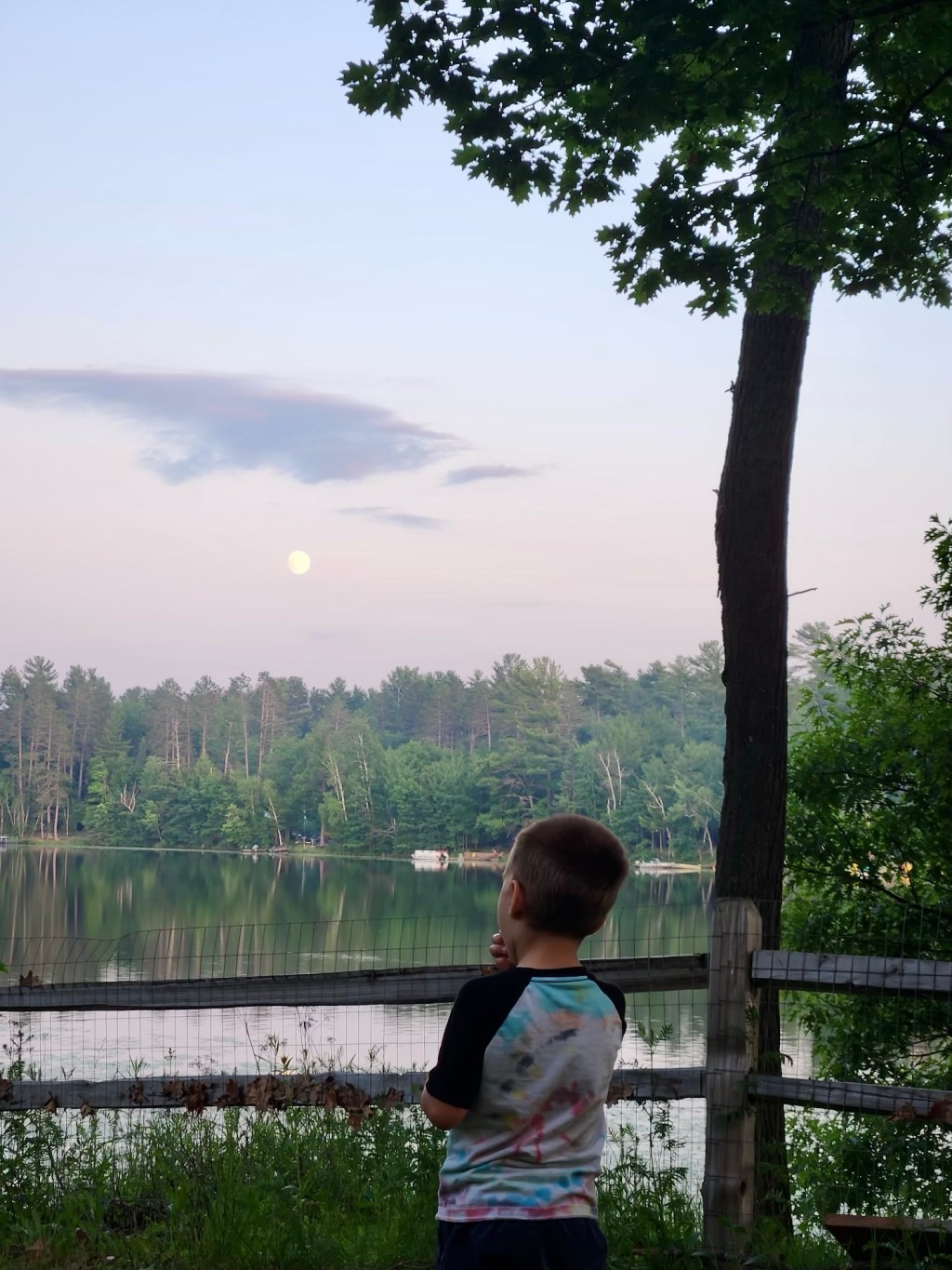 “Moon, Moon”