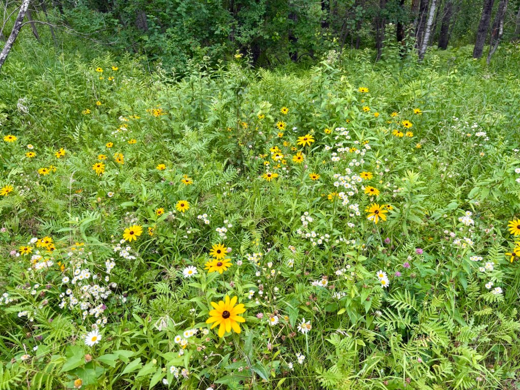 What the Flowers&nbsp;Know